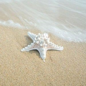 Meet your Posher, Christian